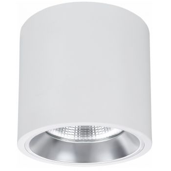 Настінно-стельові світильники NVC NLED9286HMT 50W 24° 4000K 5500Lm білий