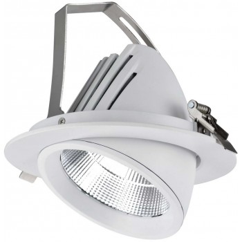 Поворотний світильник NLED602 40W 6000K 3325Lm
