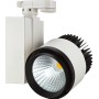 Серія TLED306